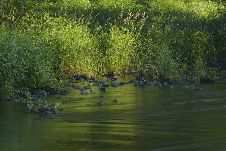 Naturjuwel mittleres Kamptal.